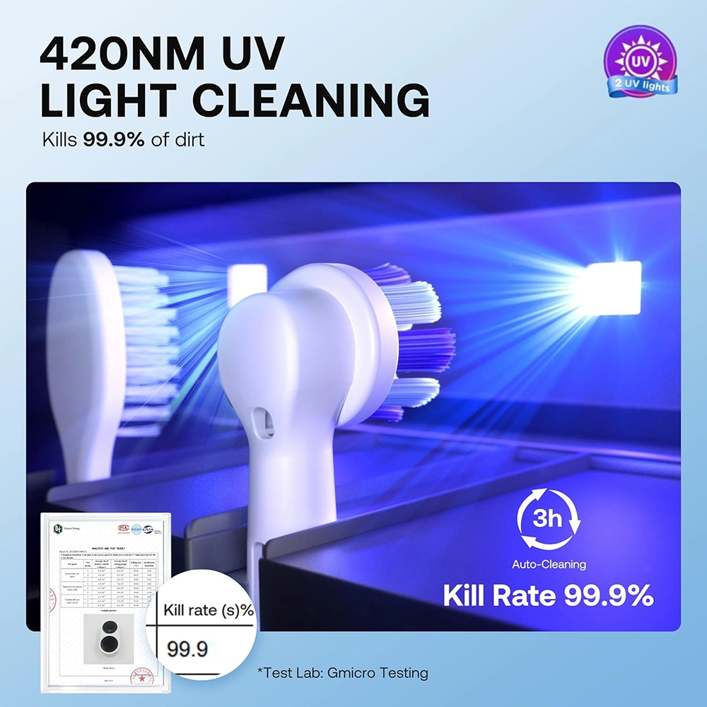 Buy Online Toothbrush Holder at best price in UAE