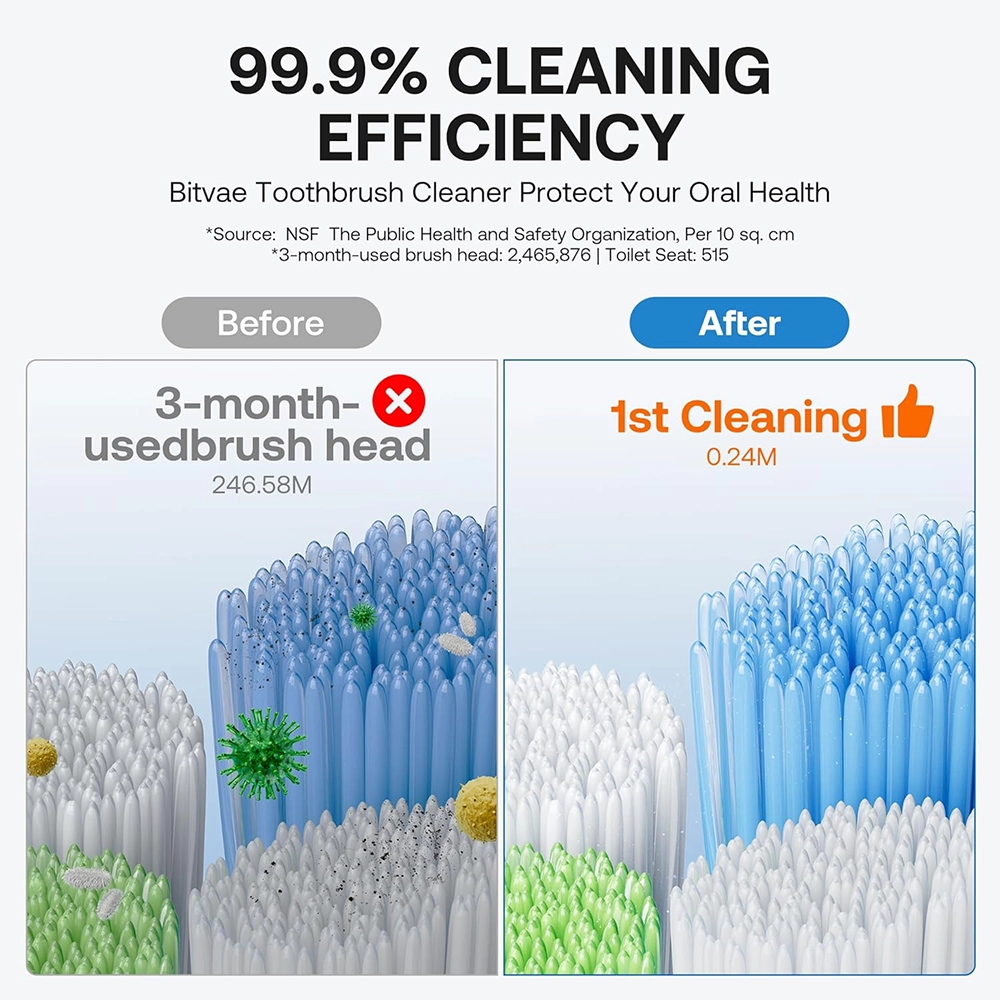 Buy Online Toothbrush Holder at best price in UAE