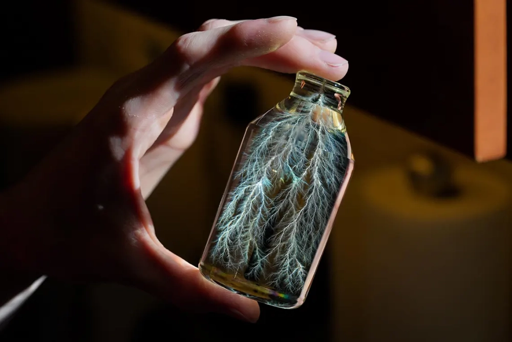 Buy Online Lightning in a Bottle at best price in UAE
