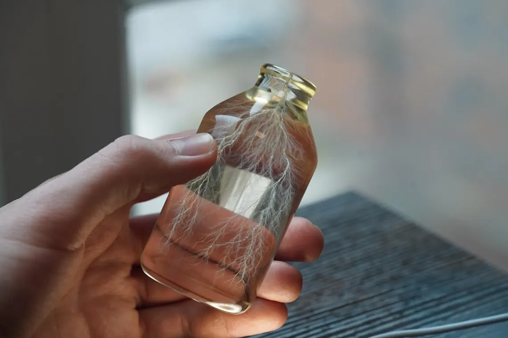 Buy Online Lightning in a Bottle at best price in UAE
